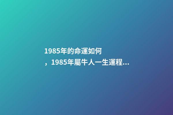 1985年的命運如何，1985年屬牛人一生運程 1985年屬牛人一生運勢1985年出生的屬牛人一生的運勢如何
